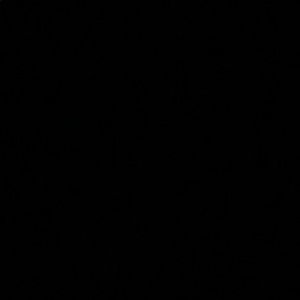 Meet your Posher, Layla